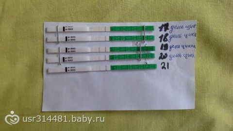 Лактобациллы в мазке - БэбиБлог Каждый десятый врач мужского пола склоняет своих пациенток