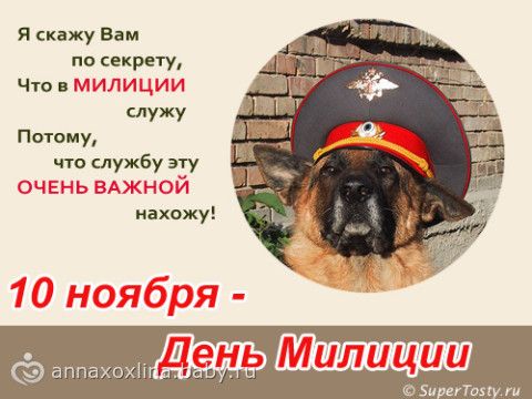 Поздравления с днем милиции прикольные смс