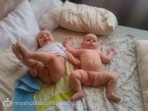 Комнатные растения фото с названиями Фотографии