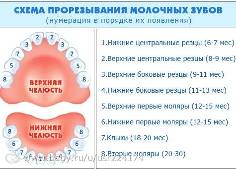 Когда выходят зубы у ребенка признаки Когда выходят зубы у ребенка признаки