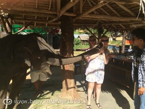 Почему в тайланде много проводов Почему в тайланде много проводов