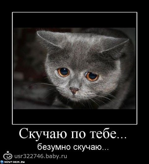gthtltkrf футболки