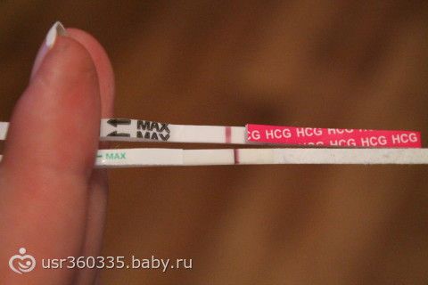 210641058.312401579.jpeg