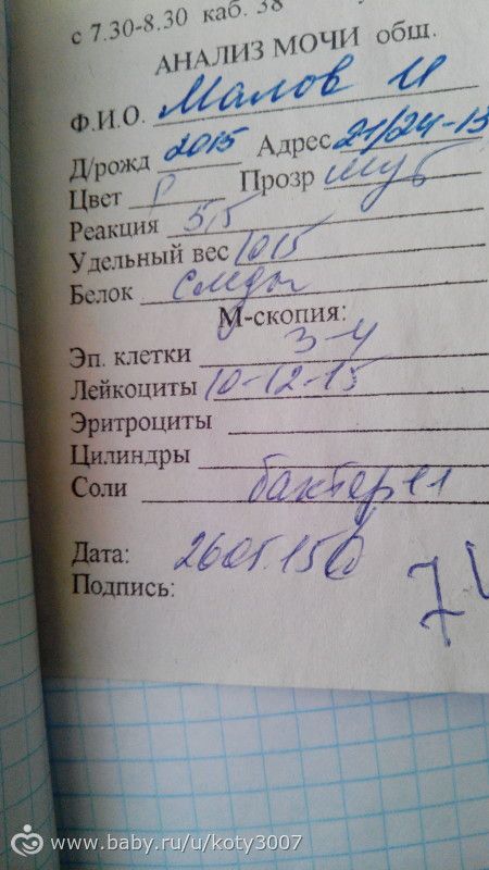 Почему анализ мочи плохой у беременных 971 Почему анализ мочи плохой у беременных 1175