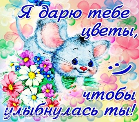 Открытки с выздоровлением сестре Открытки с выздоровлением сестре
