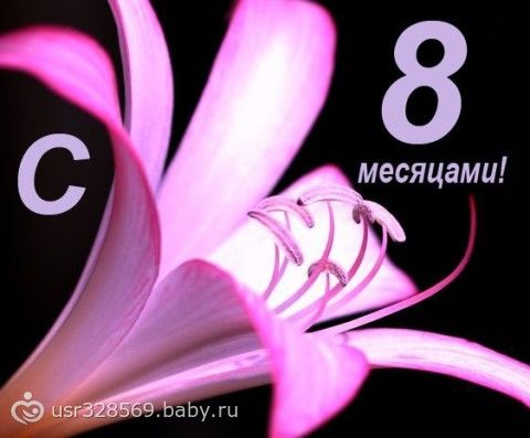 Поздравления парню 8 месяцев отношений Поздравления парню 8 месяцев отношений
