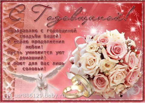Цветок заячьи ушки посадка и уход Цветок заячьи ушки посадка и уход
