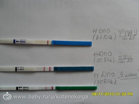 Все что связано с дюфастоном Все что связано с дюфастоном