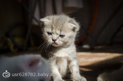 Бодайбо больница