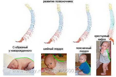 Как правильно пить редуксин 15 чтобы похудеть