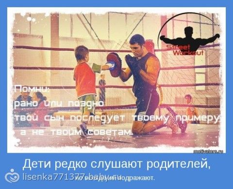 Японские ирисы и уход за ними Японские ирисы и уход за ними