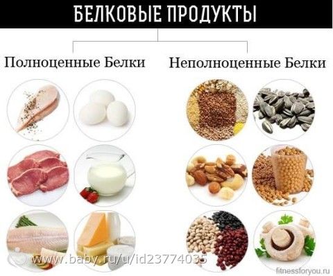 Растительный белок(список продуктов) для участниц проекта REFLRCTION
