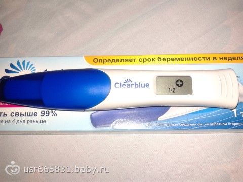 На каком дереве рос запретный плод - Истории Земли Молитва от бесплодия: каким святым молиться о ребенке, если