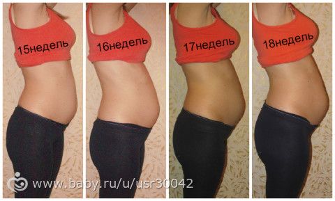 Беременность 16-17 недель животиков