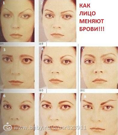 меховая жилетка шанель