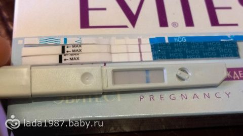 Бледные тесты на беременность отзывы Бледные тесты на беременность отзывы