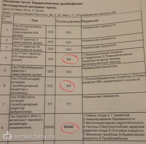 Тромбофилия полиморфизм при беременности