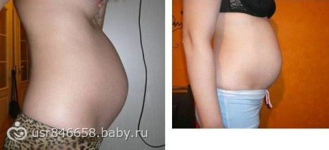 Беременность 25-26 недель животов