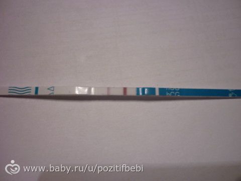 Тянет перед месячными или беременность Тянет перед месячными или беременность