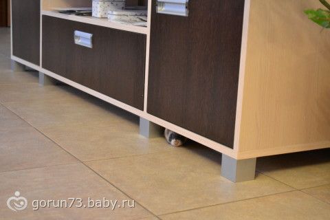 Байки про мое зверье(подружки просили отчитаться)