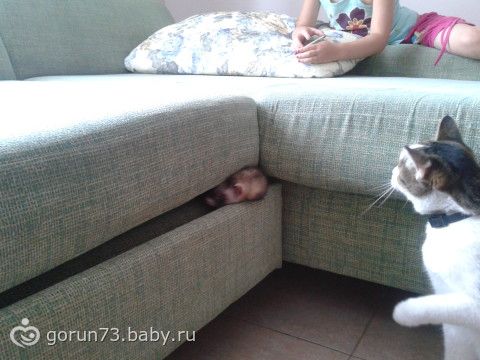 Байки про мое зверье(подружки просили отчитаться)