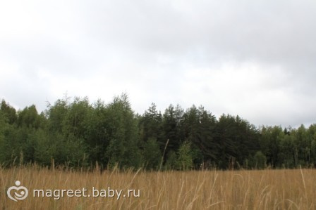 История о невысоком человеке, который хотел все увидеть...