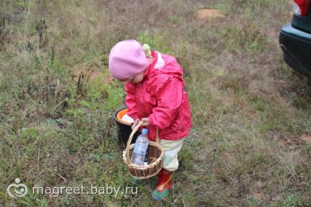 История о невысоком человеке, который хотел все увидеть...
