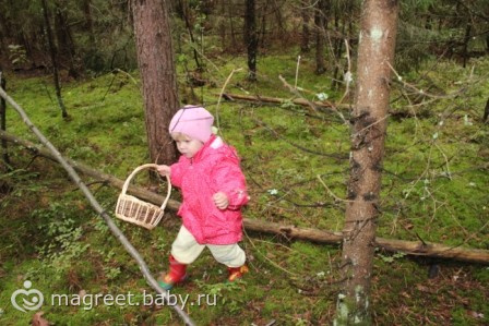 История о невысоком человеке, который хотел все увидеть...
