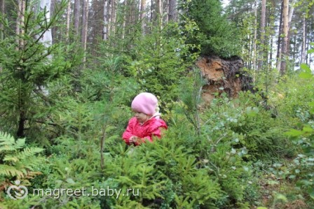 История о невысоком человеке, который хотел все увидеть...