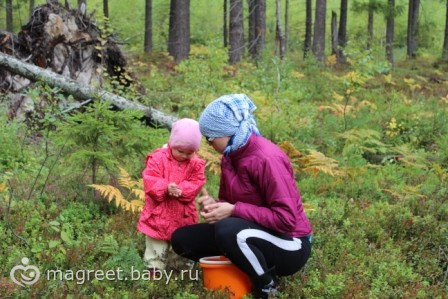 История о невысоком человеке, который хотел все увидеть...