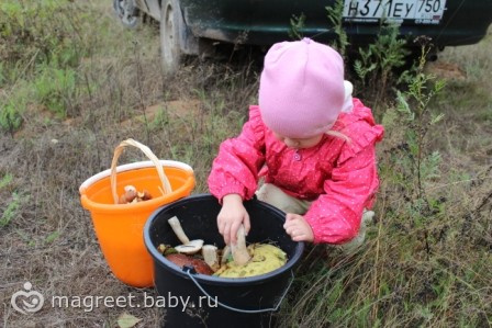 История о невысоком человеке, который хотел все увидеть...