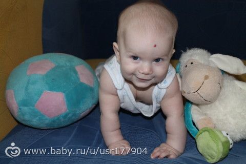 Вот и нам уже полгода!