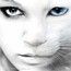 SmokyCat SmokyCat