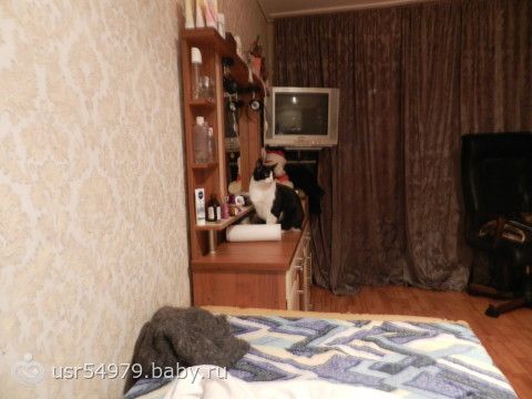 Мой кот тщеславная зараза или это МИСТИКА??О_о