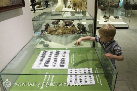 Государственный Дарвиновский музей - Москва