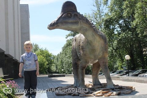 Государственный Дарвиновский музей - Москва