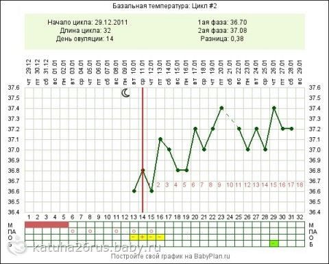 Базальная температура 37.5. Графики базальной температуры при многоплодной беременности. График БТ В беременный цикл. Графики БТ при многоплодной беременности. График БТ при беременности двойней.