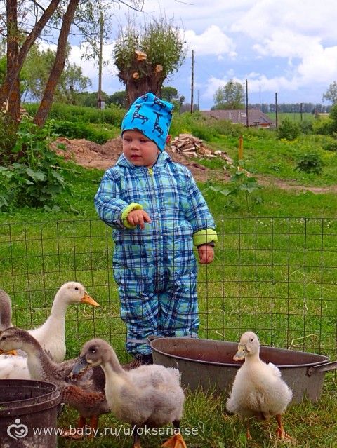 Предвкушение ( фото)