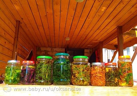 Предвкушение ( фото)