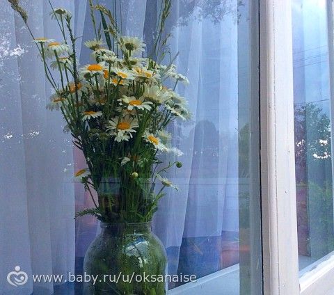 Предвкушение ( фото)