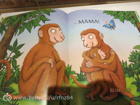 НАШЕ ПОСЛЕДНЕЕ КНИЖНОЕ ПОПОЛНЕНИЕ