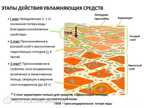 Негормональное средство для лечения экземы