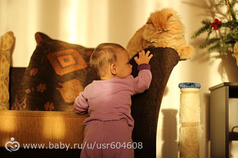 СЧАСТЛИВОГО НОВОГО ГОДА!!!
