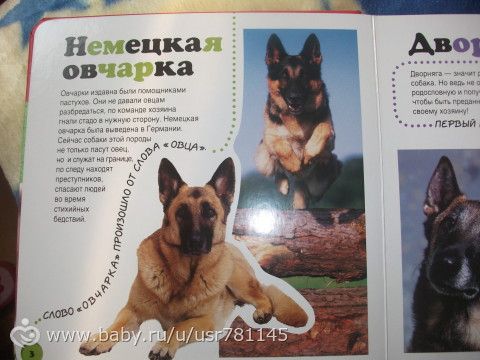 посылочка лета!!!!!!!!!от любимой девочки моей)))))))