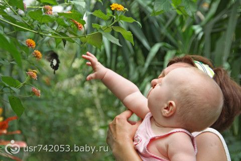 Италия, Милано Мариттима или идеальное место для отдыха с коляской