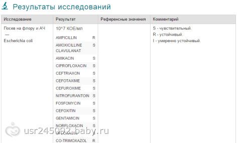 Моча на флору инвитро. Бак посев мочи. Посев мочи на микрофлору. Посев на флору и Ач. Моча бак посев чувствительность к антибиотикам.