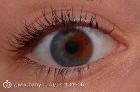 Интересная статья про цвет глаз