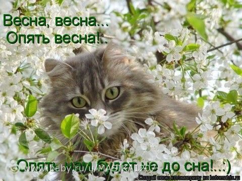 Девченки,с праздиком ВАС!!!