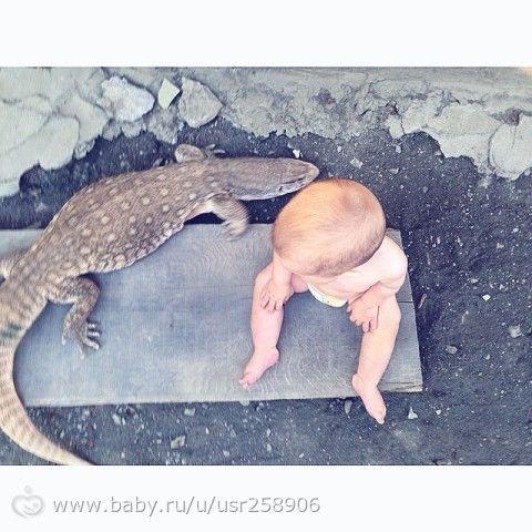 В горах друзей нашли) варан;)