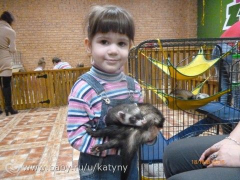 Были сегодня в ручном зоопарке!